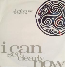 Hothouse Flowers - I Can See Clearly Now