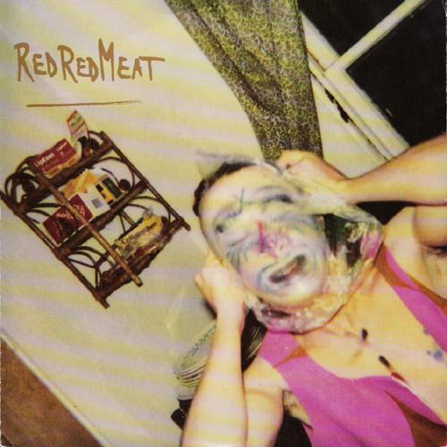 Red Red Meat - Idiot Son