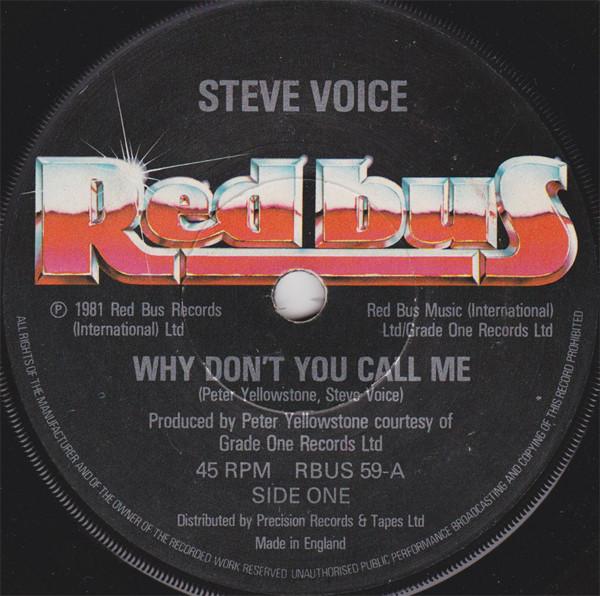 Steve Voice - Why Don't You Call Me