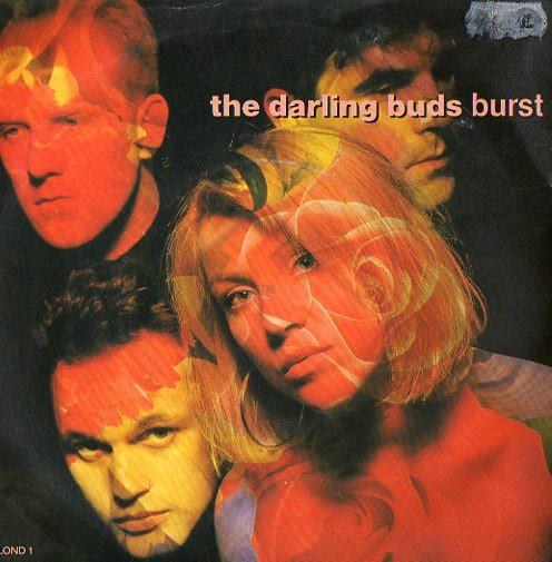 The Darling Buds - Burst