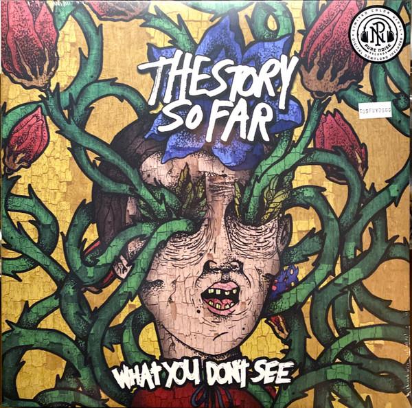 The Story So Far (2) - What You Don't See