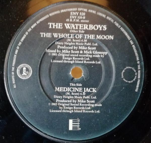 The Waterboys - The Whole Of The Moon
