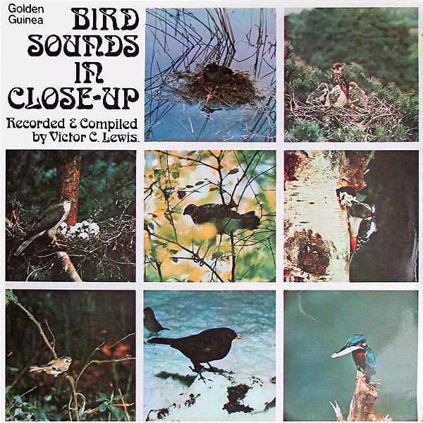 Victor C. Lewis - Bird Sounds In Close Up